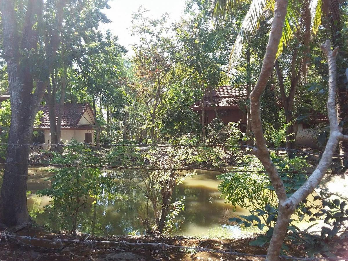 Ban Muang Pha Your Home In Mae Rim المظهر الخارجي الصورة