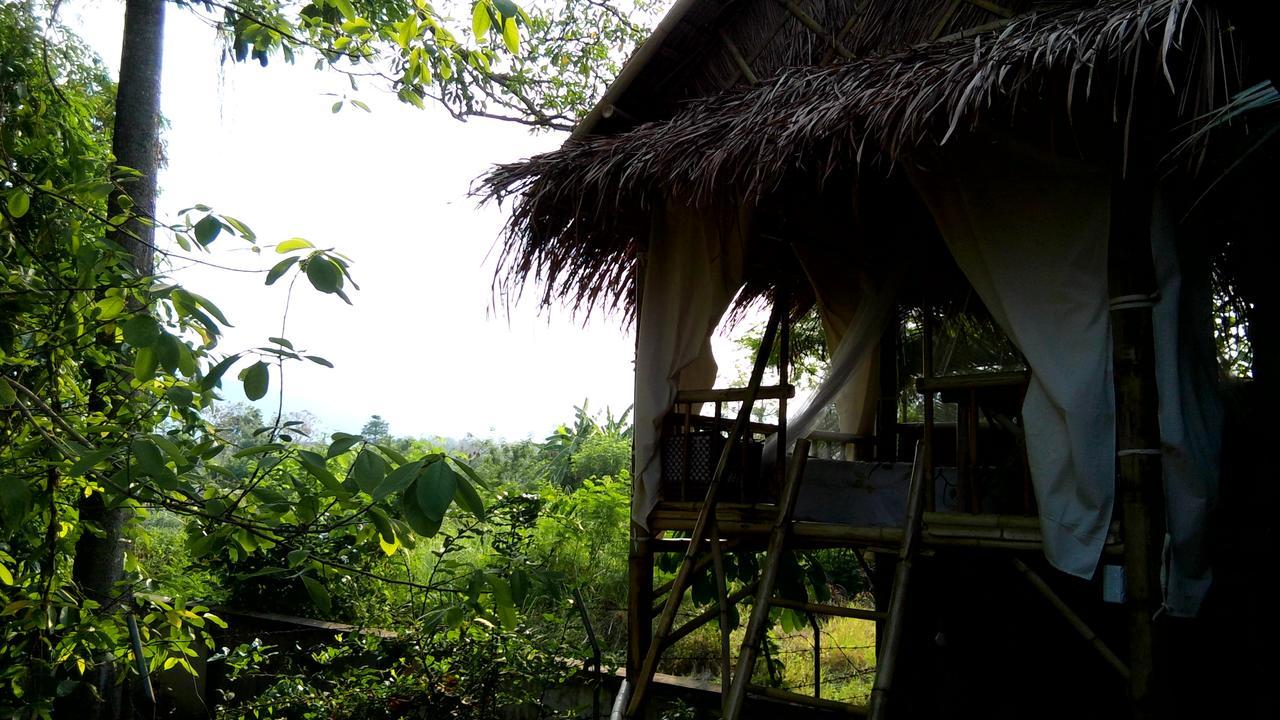 Ban Muang Pha Your Home In Mae Rim المظهر الخارجي الصورة