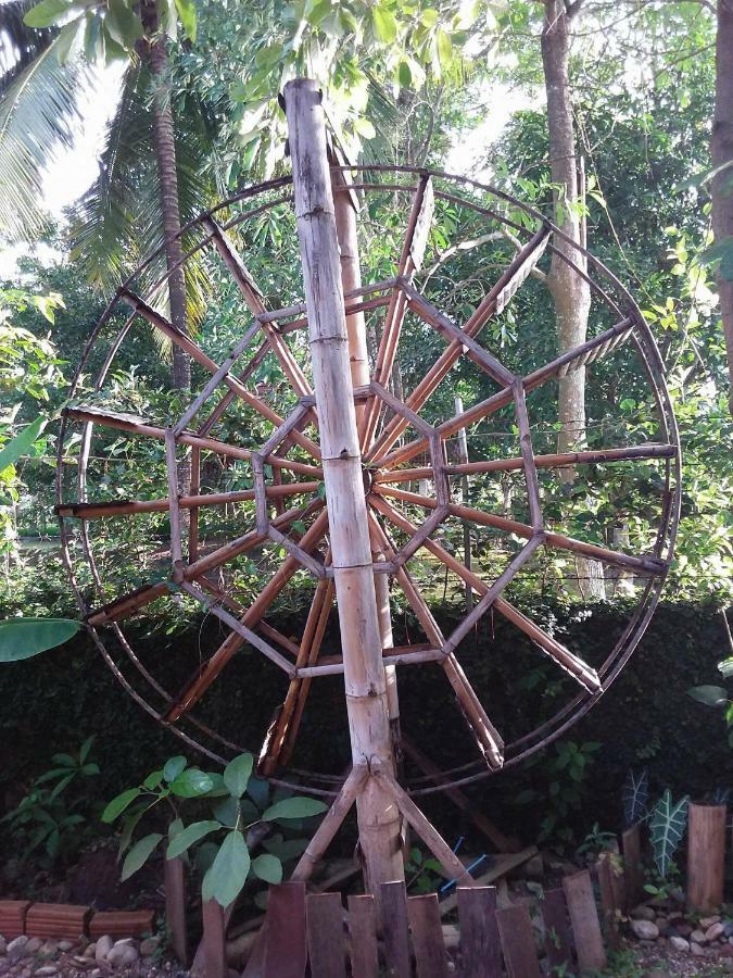 Ban Muang Pha Your Home In Mae Rim المظهر الخارجي الصورة